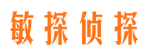 隆阳侦探调查公司